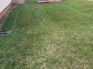 Rhonda B.'s Lawn Care service result