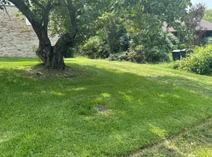 Dwight T.'s Lawn Care service result
