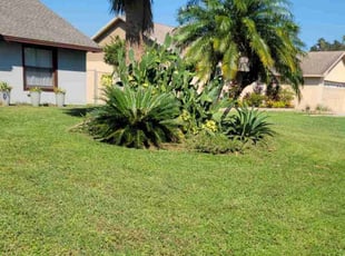 Patricia N.'s Grass Cutting service result