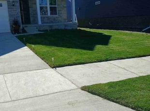 Lorraine A.'s Grass Cutting service result