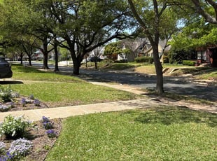 Timothy B.'s Lawn Mowing service result