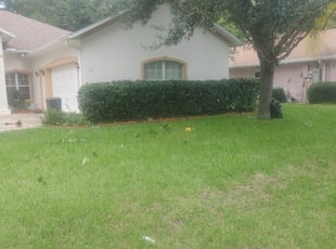 Bush Trimming by Marauis Miller for Frank H. in Palm Coast, FL