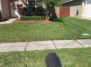 Tammy M.'s Grass Cutting service result