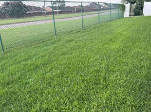 Sandra L.'s Yard Cutting service result