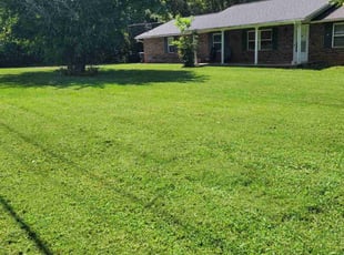 Susan D.'s Lawn Mowing Service service result