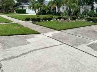 Barbara L.'s Lawn Mowing Service service result
