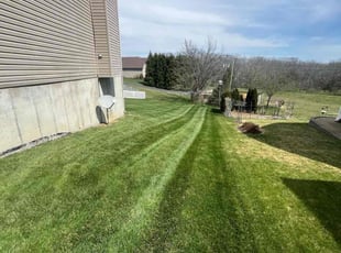 Lissa L.'s Lawn Mowing service result