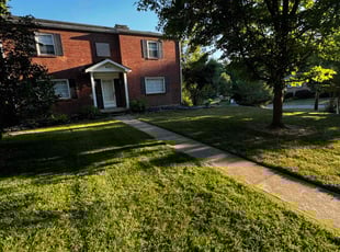 Lori H.'s Lawn Mowing service result