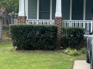 Bush Trimming by Randell Pringle for April M. in Raleigh, NC
