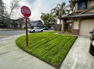 Nishickia C.'s Yard Cutting service result