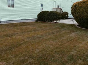 Jim M.'s Lawn Maintenance service result
