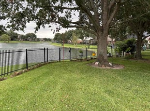 Nicole H.'s Lawn Care service result