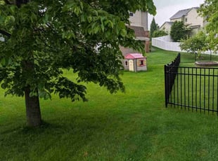 Darren F.'s Lawn Care service result