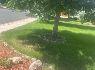 Linda R.'s Lawn Care service result