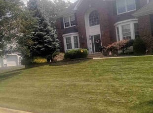 Anthony I.'s Lawn Mowing Service service result