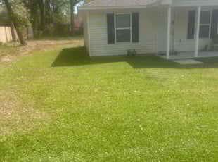 Daniel J.'s Lawn Mowing service result