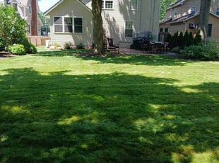 Joann C.'s Yard Cutting service result