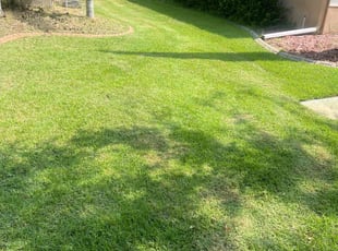 Philip M.'s Lawn Mowing Service service result