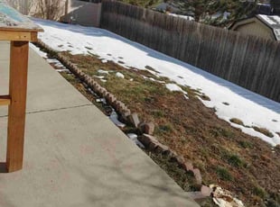 Bush Trimming by Chen Vang for Tracy R. in Broomfield, CO
