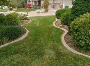 Lisa B.'s Lawn Mowing service result