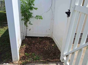 Leaf Removal by Alba Chacon Galdamez for Chelsea P. in Round Rock, TX