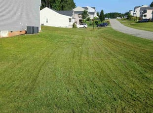 Norma R.'s Lawn Service service result