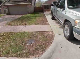 Leaf Removal by Jamell Mcgee for Loree A. in Houston, TX