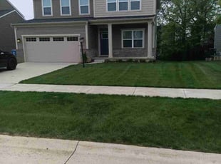 MICHAEL N.'s Yard Cutting service result