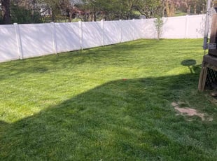 Randy W.'s Yard Cutting service result