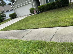 Bush Trimming by Steven Newman for Sarah V. in Middleburg, FL
