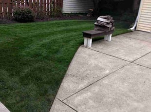 MICHAEL G.'s Lawn Mowing service result