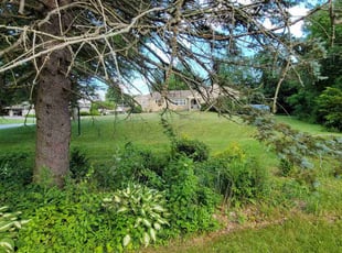 Bush Trimming by Jonathan McNamara for James M. in Paxton, MA