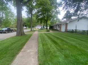 Matthew F.'s Lawn Service service result