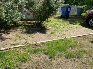 Weeding by Dylan Jones for Brett W. in Midlothian, VA