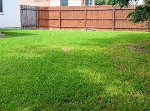 Revathy P.'s Grass Cutting service result