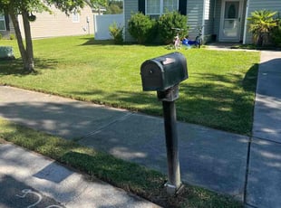 Albert R.'s Lawn Mowing service result