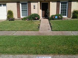 Andrew A.'s Lawn Care service result