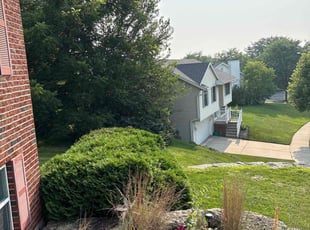 Bush Trimming by Jennifer Rose for Matt B. in Madison, WI