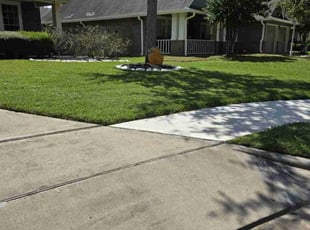 Rhanda L.'s Lawn Care service result