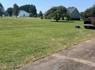 Wayne R.'s Lawn Care service result