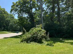 Bush Trimming by Christopher Noel for Kat P. in Hudson, OH
