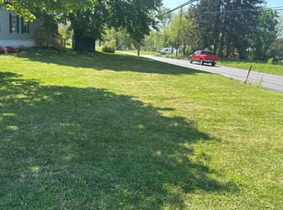 Kim T.'s Lawn Service service result