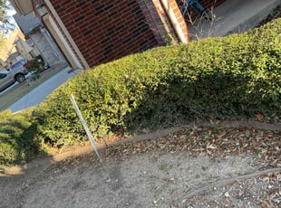 Bush Trimming by Robert Pastrano for Kyle R. in Cibolo, TX
