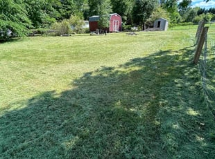 Carmen G.'s Lawn Care service result