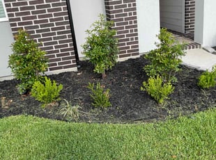Weeding by Brandon Bowers for Kirklin N. in Fort Bend County, TX