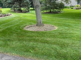 Joan W.'s Yard Cutting service result