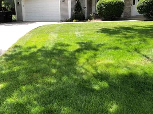 Reva J.'s Lawn Care service result