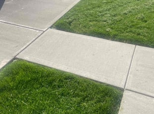 Niyi A.'s Grass Cutting service result