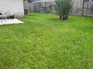 Anthony R.'s Lawn Care service result
