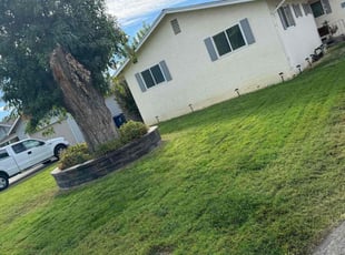 Lynn M.'s Lawn Service service result